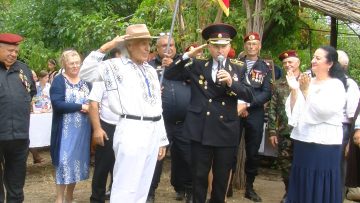 029_2339_01.MP4_snapshot_12.00.000