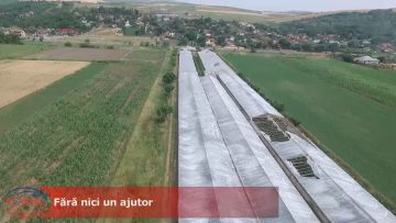 Fără nici un ajutor.mp4_snapshot_02.12.920