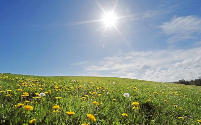 meteo