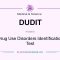 DUDIT meaning – what does DUDIT stand for?