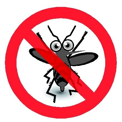 insecte