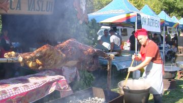 029_2772_01.MP4_snapshot_00.01.920