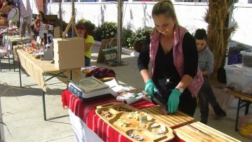 029_3306_01.MP4_snapshot_00.01.156