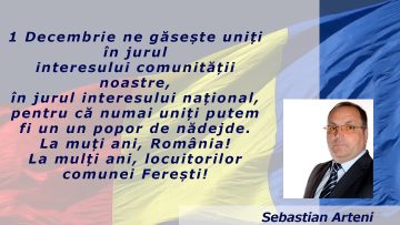 FERESTI.mp4_snapshot_00.17.000