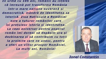 IONEL_CONSTANTIN.mp4_snapshot_00.16.000