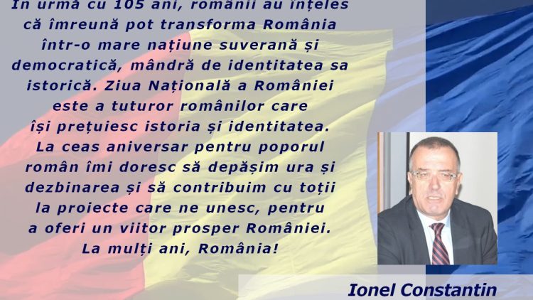 IONEL_CONSTANTIN.mp4_snapshot_00.16.000