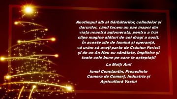 CCIA VASLUI