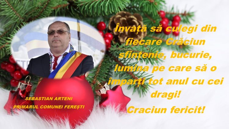 FERESTI