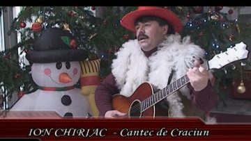 ION CHIRIAC-1.mp4_snapshot_00.20.000