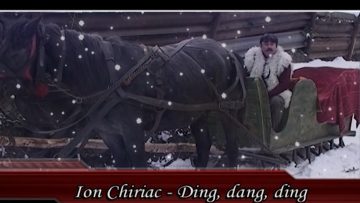 ION CHIRIAC-3.mp4_snapshot_00.14.754