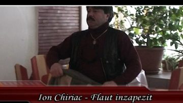 ION CHIRIAC-4.mp4_snapshot_03.30.000