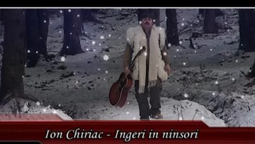 ION CHIRIAC-5.mp4_snapshot_00.06.771