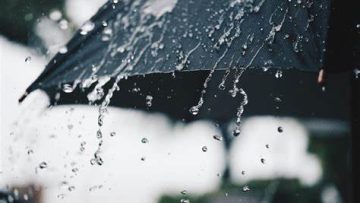 meteo