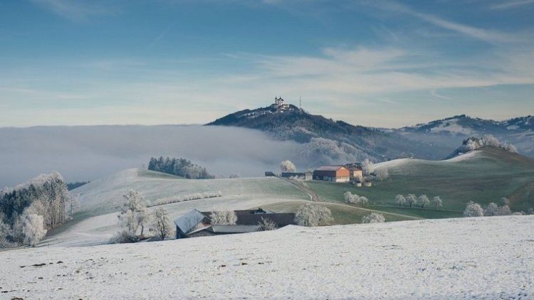 meteo