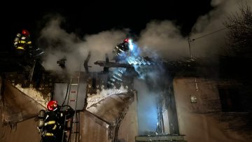 691ec937-8259-4ead-a531-b79ac01cf93f