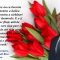 VIDEO//Mesajul de 8 Martie al Senatorului Iulian Mihail Bîca