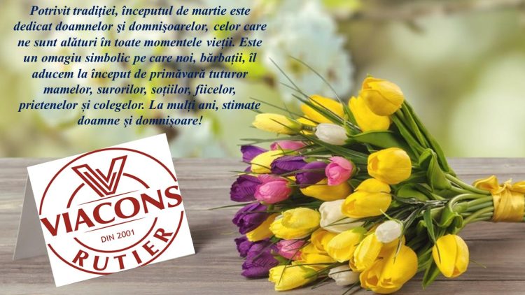 VIACONS RUTIER