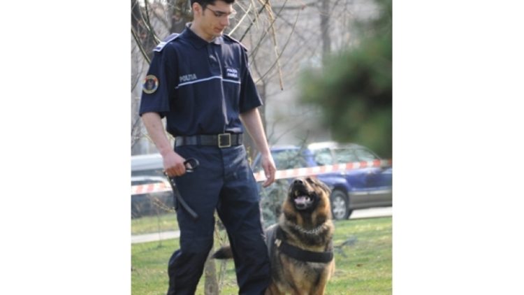 anuntpol