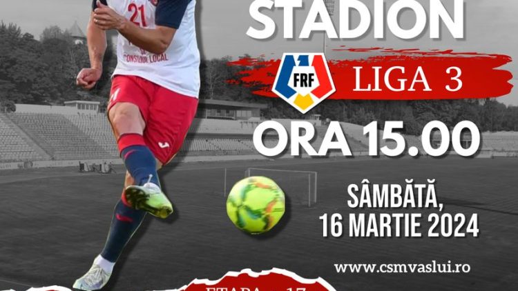 liga317