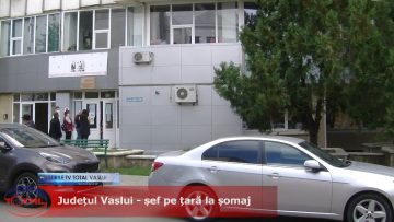 Județul Vaslui – șef pe țară la șomaj.mp4_snapshot_00.17.080