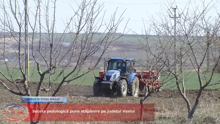 Seceta pedologică pune stăpânire pe județul Vaslui.mp4_snapshot_00.55.907