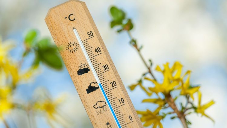 meteo