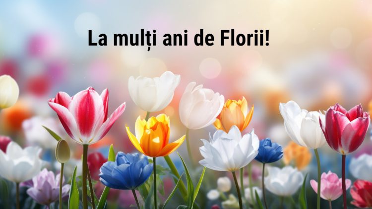 vinflorii