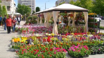 029_4722_01.MP4_snapshot_00.00.737