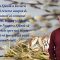 VIDEO//Sărbători Pascale bienecuvântate! Primăria și Consiliul Local Băcani