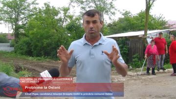 Probleme la Deleni.mp4_snapshot_02.07.484