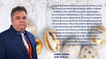 ionel sandu