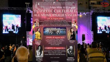 ZMV CONCERTE.mp4_snapshot_00.14.880