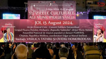 ZMV CONCERTE.mp4_snapshot_00.24.288