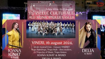 ZMV CONCERTE.mp4_snapshot_00.47.840