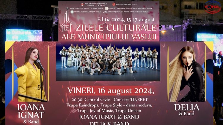 ZMV CONCERTE.mp4_snapshot_00.47.840