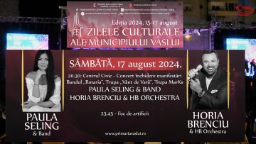 ZMV CONCERTE.mp4_snapshot_01.05.211