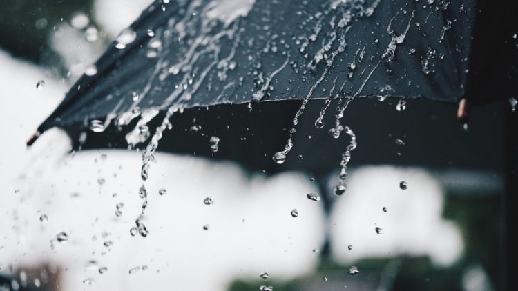 meteo