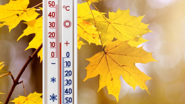 meteo