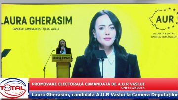 AUR VASLUI-LAURA GHERASIM.mp4_snapshot_00.16.686