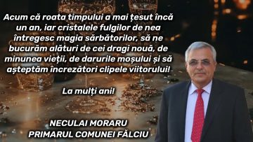 FALCIU.mp4_snapshot_00.00.189