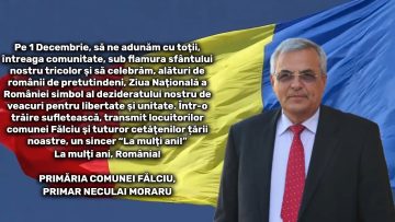 FALCIU.mp4_snapshot_00.00.224