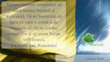 GOSCOM VASLUI 1 DEC.mp4_snapshot_00.03.897