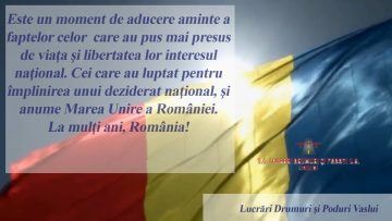 LDP VASLUI.mp4_snapshot_00.16.371