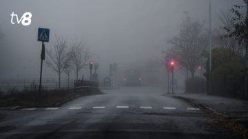 xr:d:DAFAePtPij0:321,j:44938695582,t:23011009