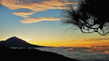 vacanta tenerife