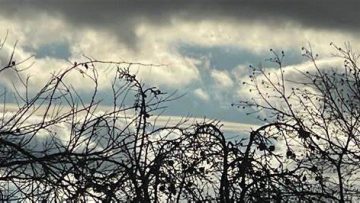 meteo