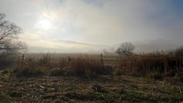 meteo