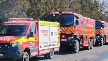 09c8b772-f1ef-4a22-bb9c-3446f52b8006