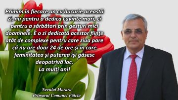 FALCIU.mp4_snapshot_00.00.293