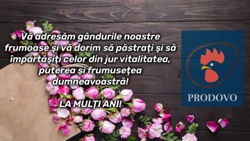 PRODOVO.mp4_snapshot_00.00.617